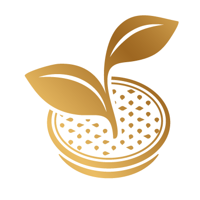 From Coffee bean to cup senseo pad sustainable